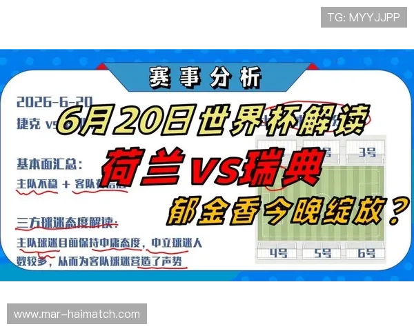2026年世界杯荷兰与瑞典主办城市详细介绍及比赛安排分析
